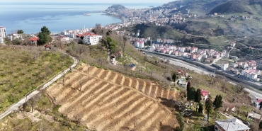 giresunda findik raporu iste bahce ve satislarin durumu Ab9J1Gdd.jpg