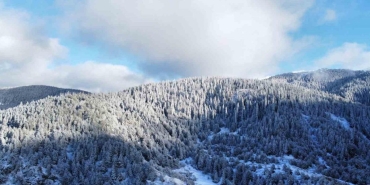 kastamonu ilgaz dagi eteklerinde essiz goruntuler kendisine hayran birakti ThuwLqav.jpg