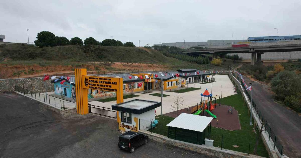 kocaelideki o merkez hayvanlara sifa oluyor KM8UeCcQ.jpg