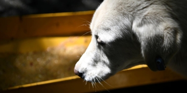 samsunda buyuk is artik yemeklerden bakin ne yapiliyor yjGbxkbw.jpg