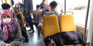 turkiye manzaralari kopek koltukta yolcu ayakta seyahat etti 3WwqxIX5.jpg