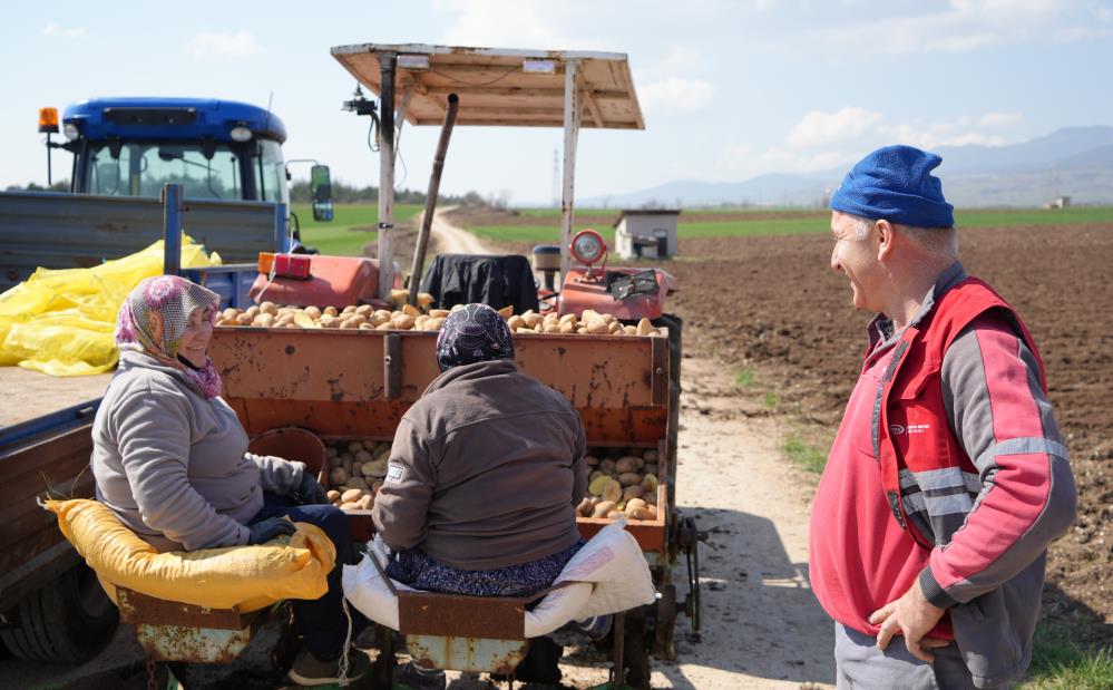 Bolu Patates Üreticileri