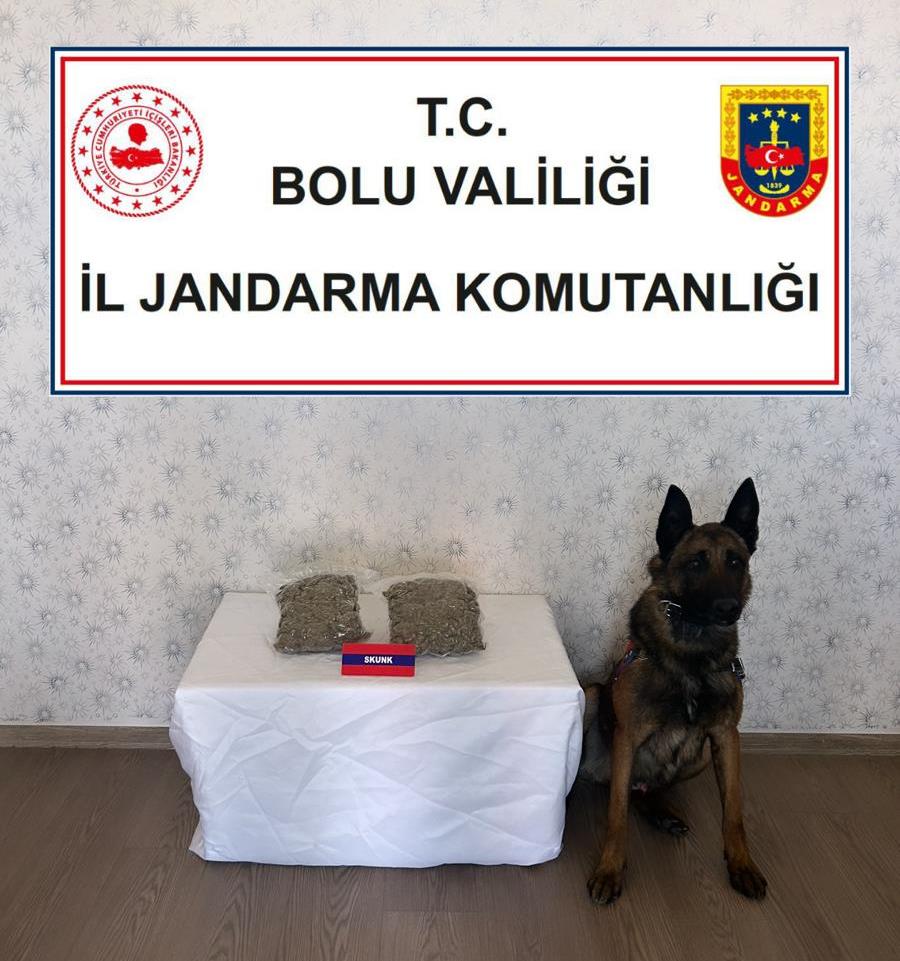 Jandarma Uyusturucu Operasyonu