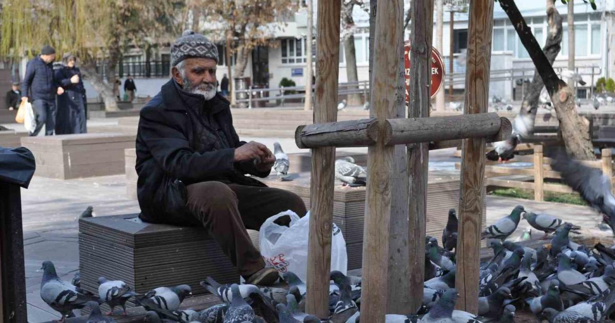 eskisehirdeki bu adam sokaklardaki kuslari yillardir besliyor vISAzLIJ.jpg