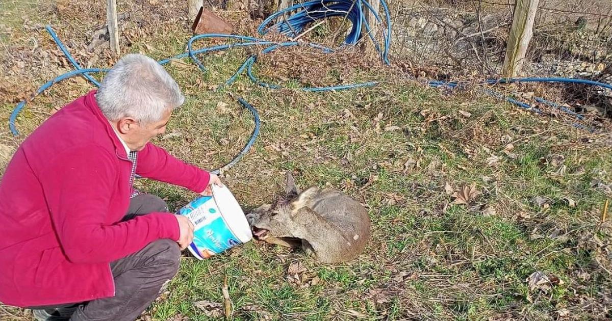 karabukte bulundu gorenler gozlerine inanamadi BmjKaf7K.jpg