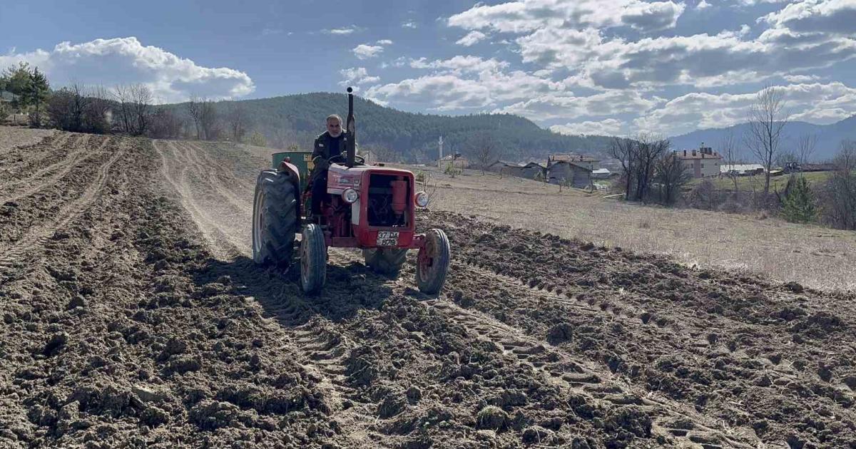 kastamonuda cigdemler cicek acti siyez toprakla bulustu uAkXiF36.jpg