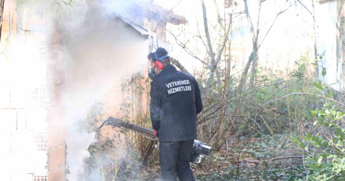 kocaeli kirmizi alarm verdi 800 bin metrekare ilaclandi nOKBCWBj.jpg