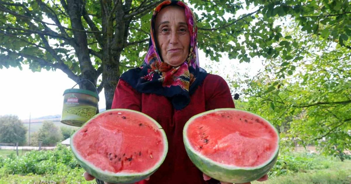 kocaelide karpuz cenneti yasanacak cunku ureticilere cok buyuk destek verildi rrPC7YGR.jpg