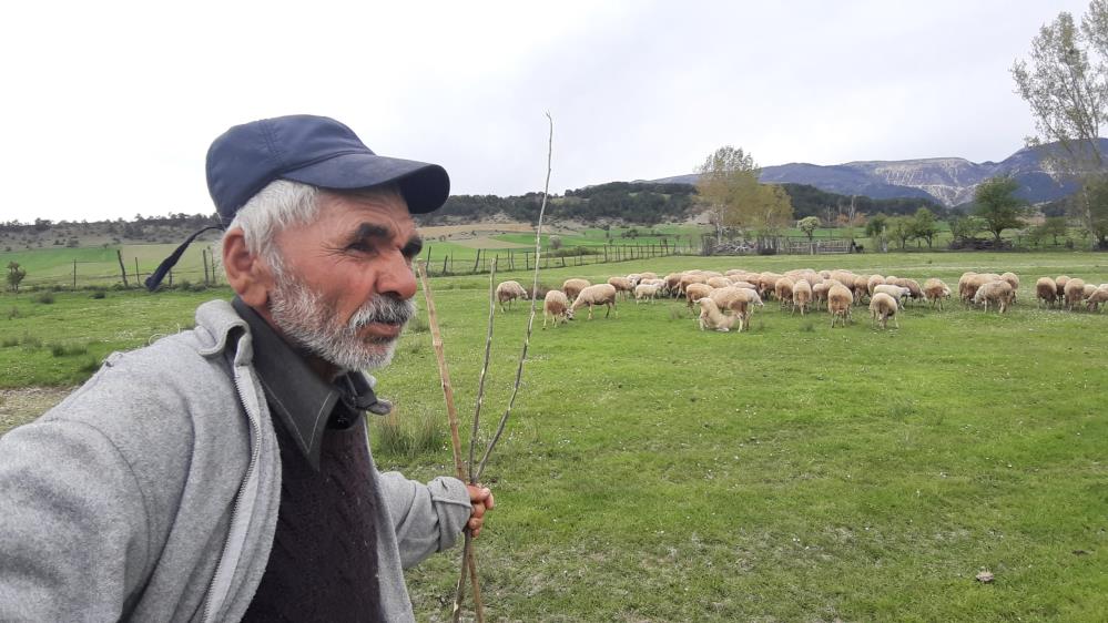 Bolu'da Çoban Maaşını Açıkladı