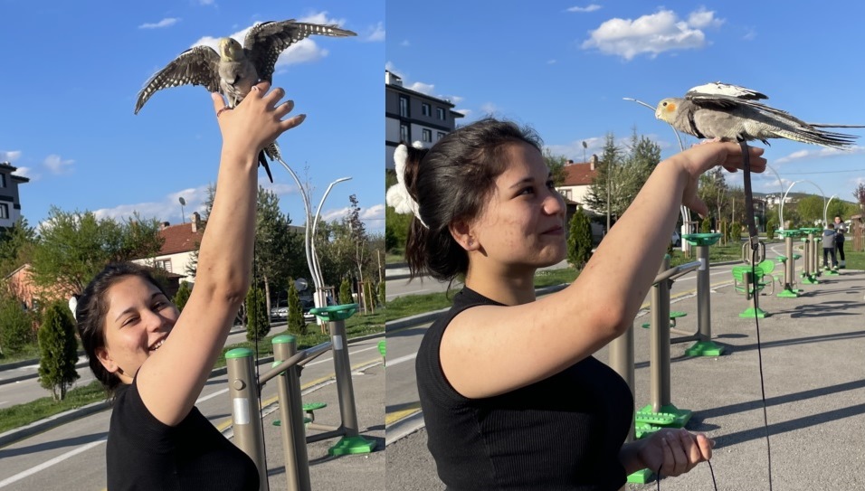 Fatmagül İmamoğlu Papağan Maraz