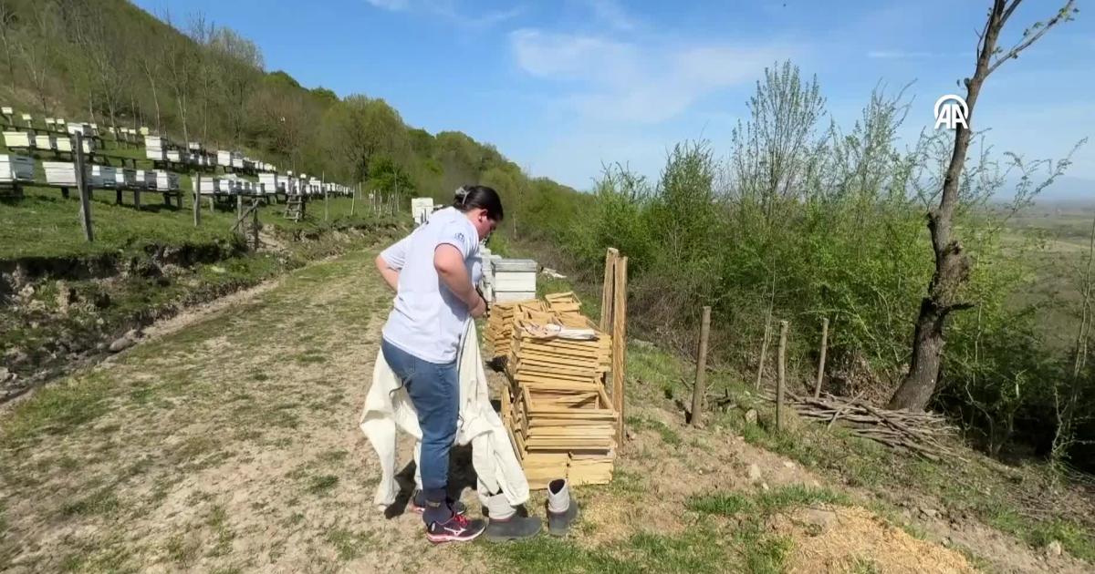 duzcede mektepli arici olmak icin kollari sivadi cLBhcUdI.jpg