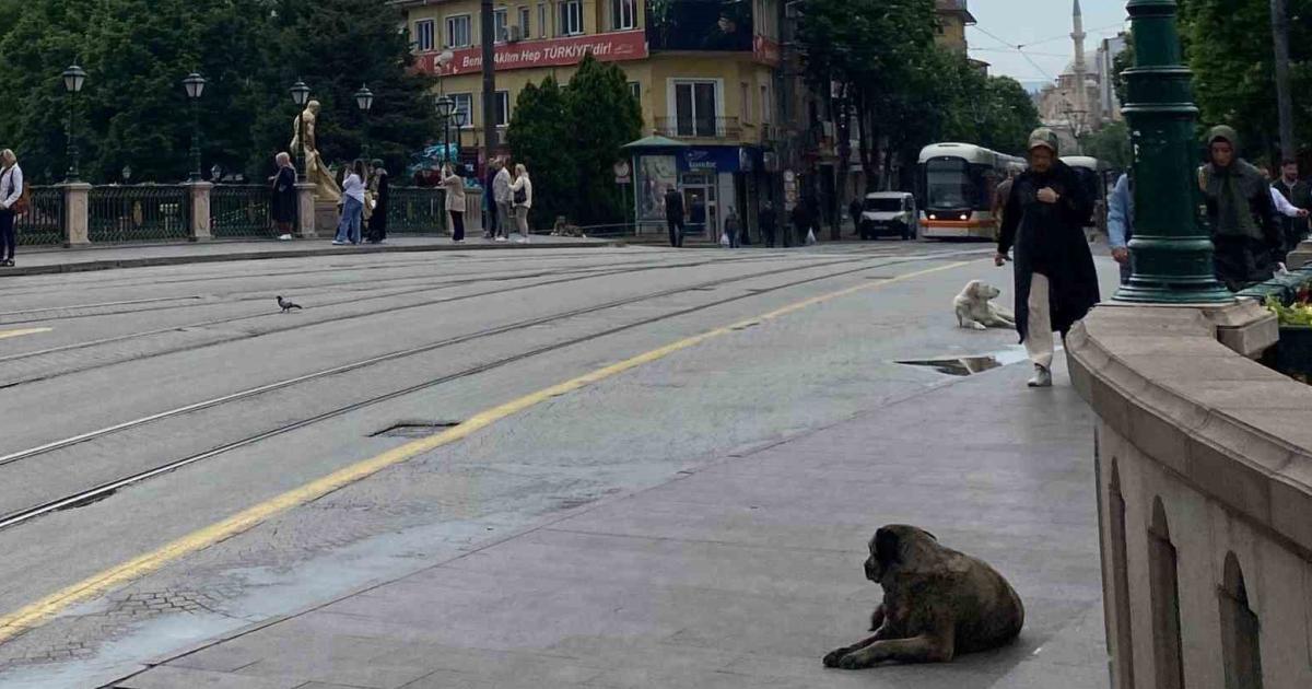 eskisehire yagmur gelince meydan bos kaldi qE71geq7.jpg