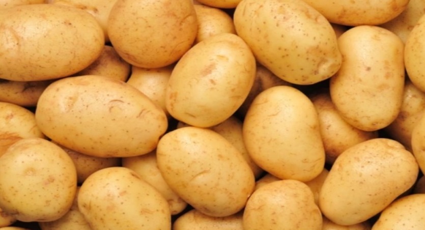 Bolu Patatesi Patates