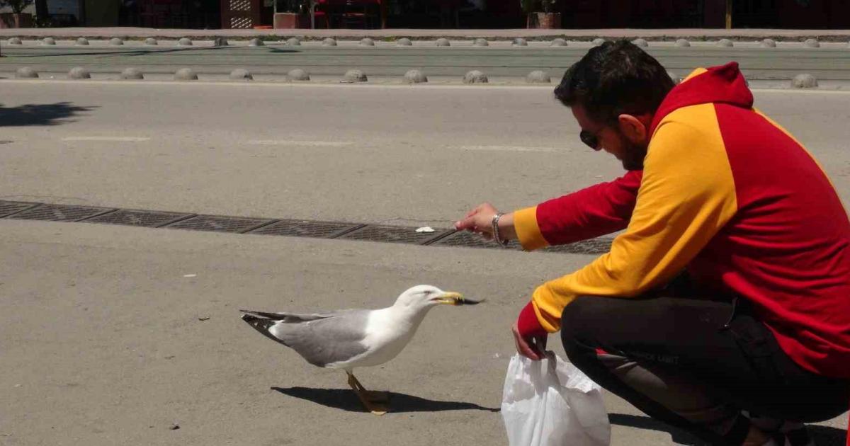 kocaelide gorenleri saskina ceviren dostluk ZPu7tuPM.jpg