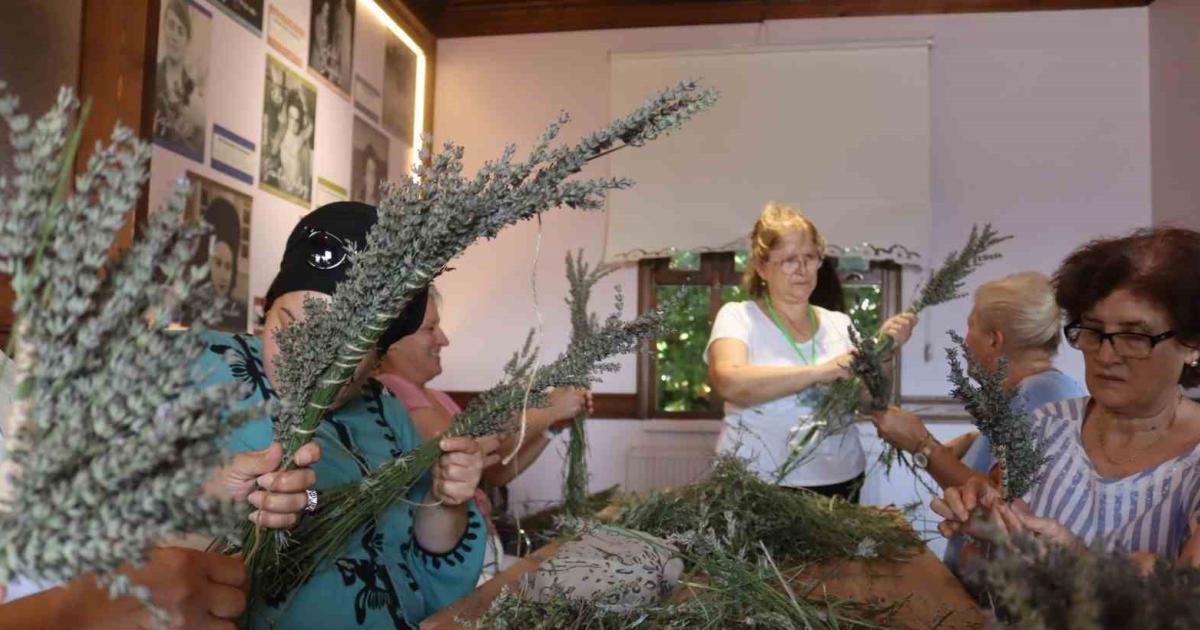 kocaeli izmitde workshop vakti ey5HhzeY.jpg