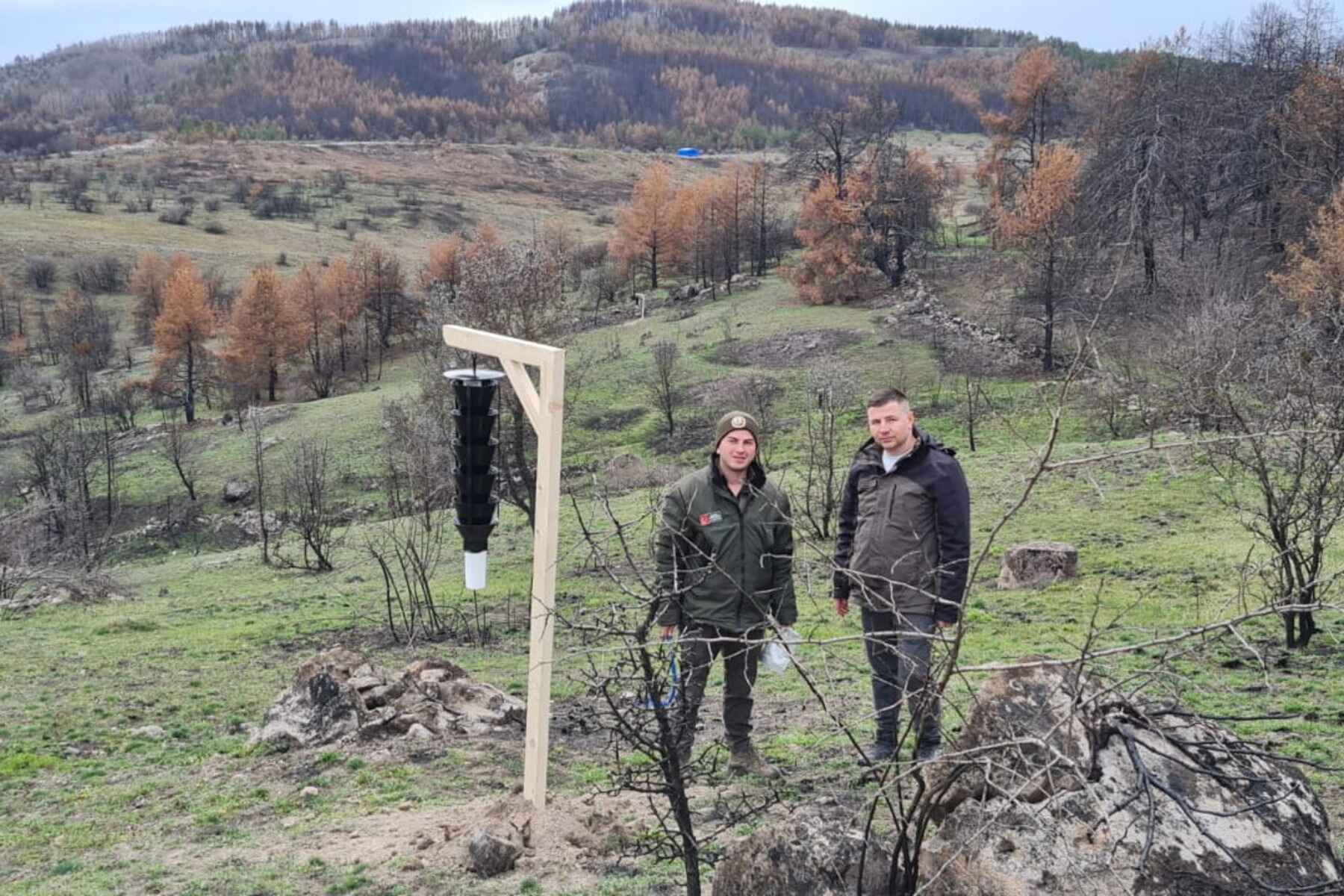 1 Gerede’de orman zararlıları ile mücadele çalışmaları başladı. (1)