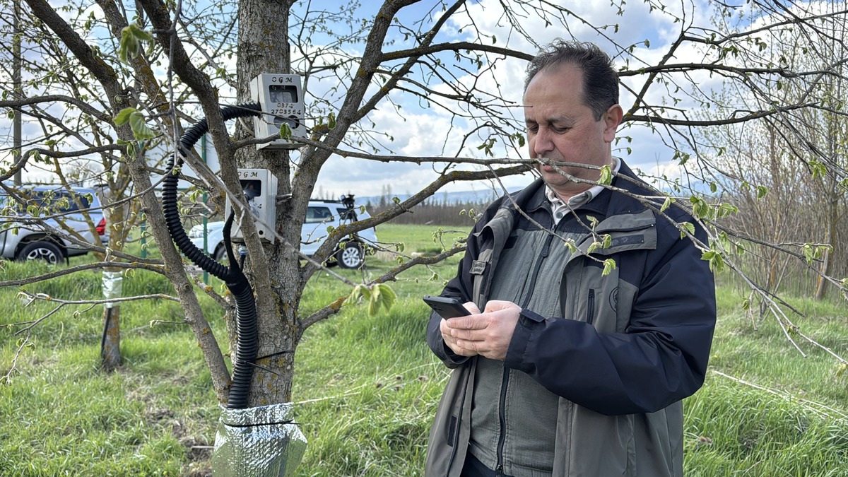 AA 20250417 37658984 37658982 BOLUDA FINDIGIN KURAKLIGA DAYANIKLILIGI BELIRLENEREK URETIMDE SUREKLILIK HEDEFLENIYOR (1)