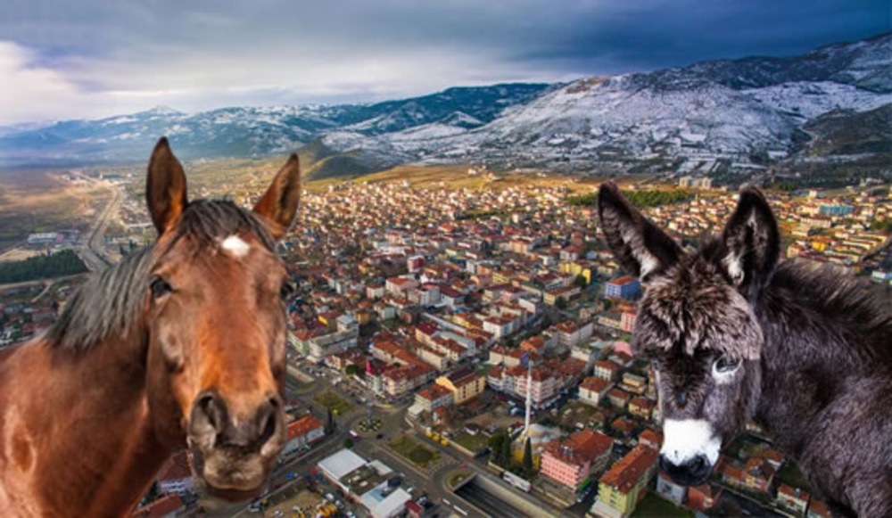 AT EŞEK
