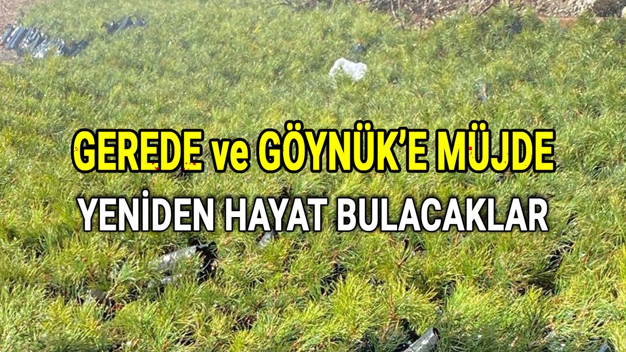 Gerede ve Göynük'e Müjde, Yeniden Hayat Bulacaklar