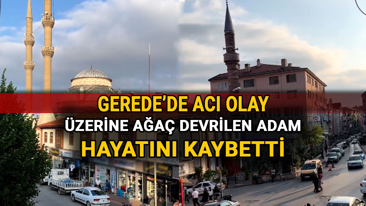 Gerede'de Üzerine Ağaç Devrilen Adam Hayatını Kaybetti