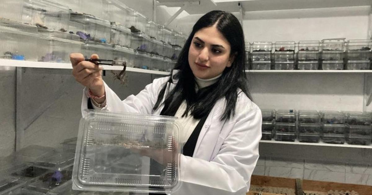 ankarada siradisi girisimcilik mavi akrep yetistiriyor Cr8hUH7w.jpg