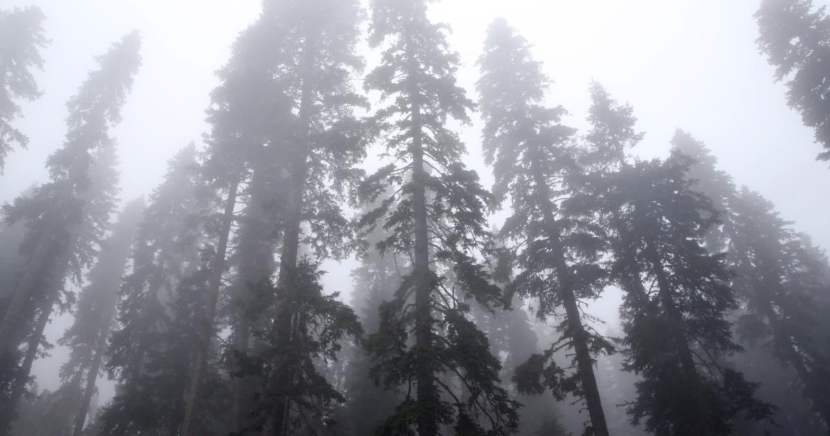 ilgaz dagina sis coktu l1RNY7L9.jpg
