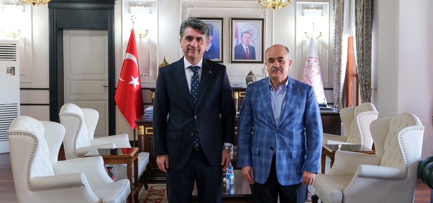 müfettiş