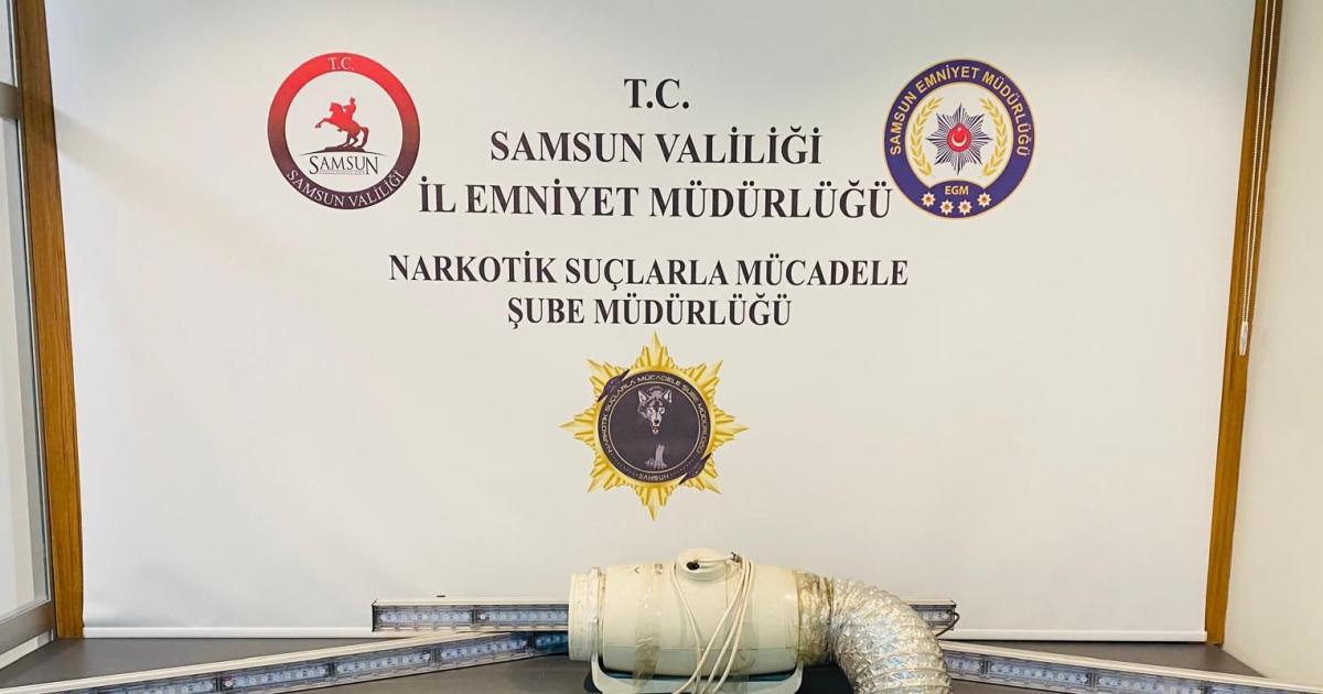 samsunda evinde kenevir yetistiren sahis gozaltina alindi tztkNxfu.jpg