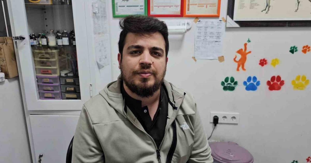 zonguldakta kediye altin dis nadir uygulama gorenleri sasirtti 2c1Y1pfs.jpg