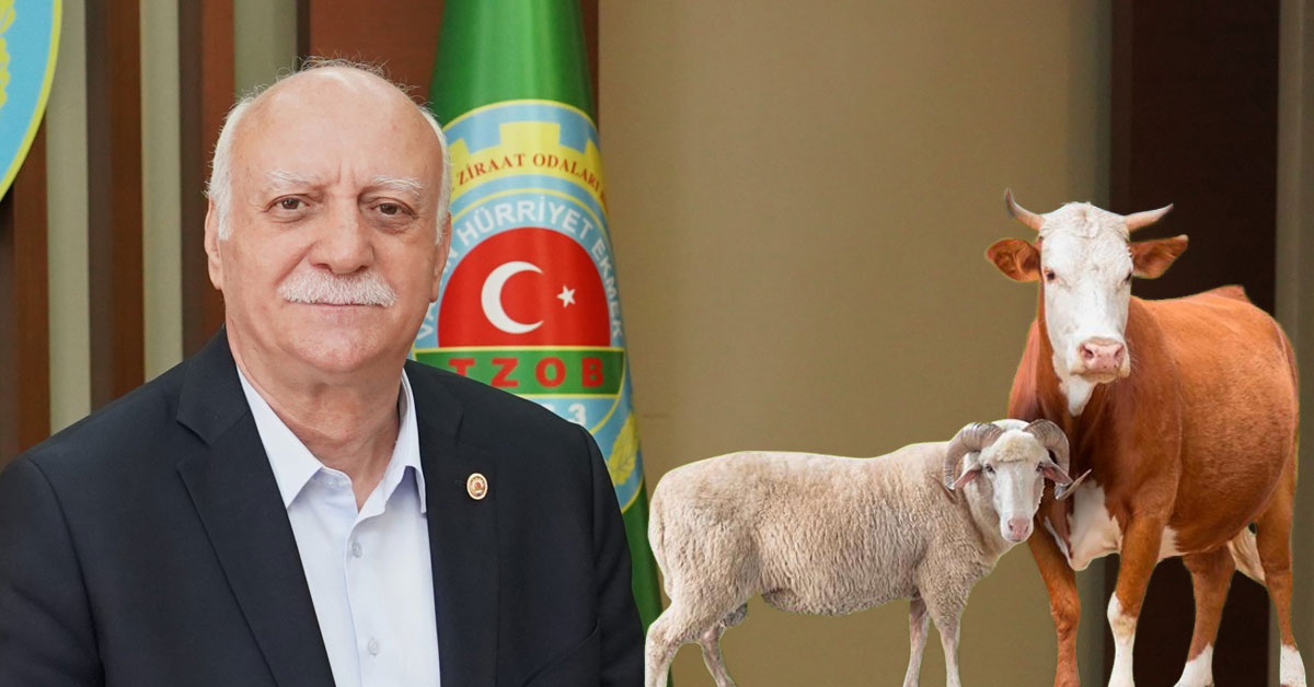 2025 Kurban Derisi Fiyatları, TZOB Genel Başkanı Şemsi Bayraktar