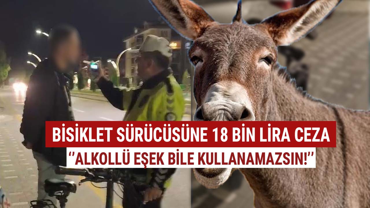 Bisiklet Sürücüsüne Ceza Eşek bile kullanamazsın