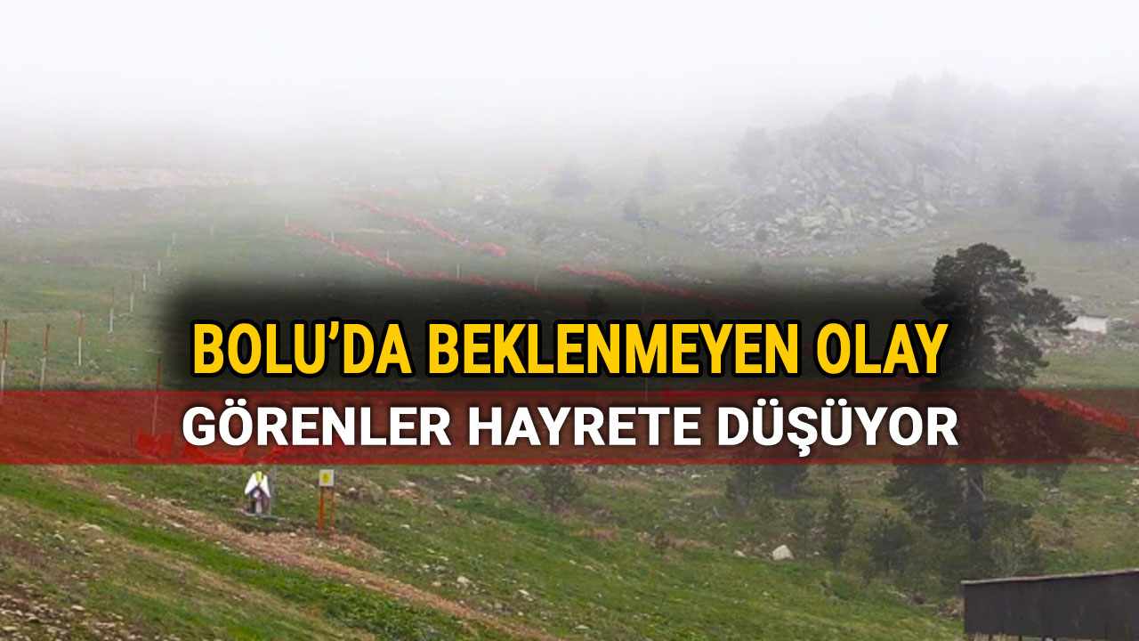 Bolu'da Beklenmeyen Olay, Görenler Hayrete Düşüyor