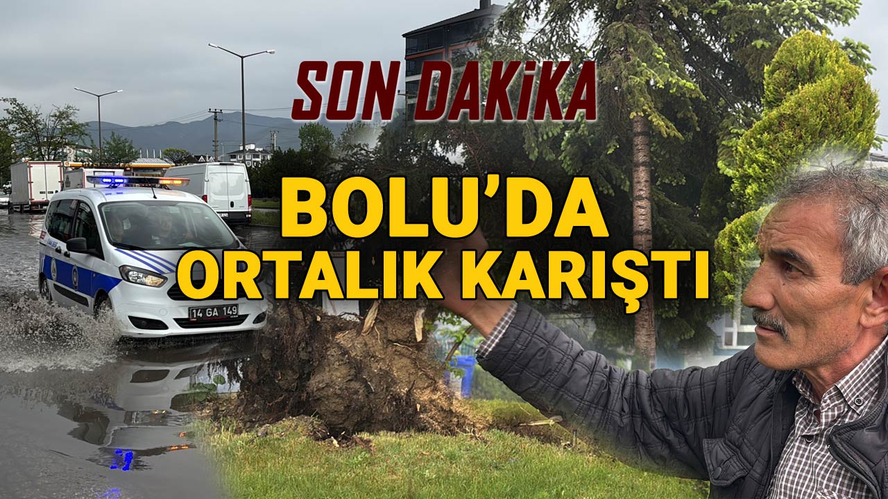 Bolu'da Ortalık Karıştı Kökünden Sökülen Ağaç Arabalara Devrildi