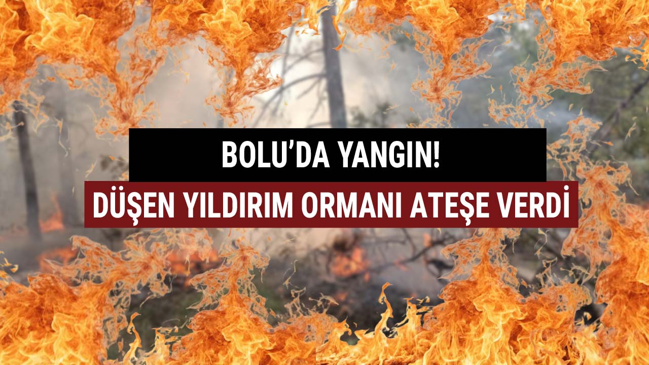 Bolu'da yangın düşen yıldırım ormanı ateşe verdi