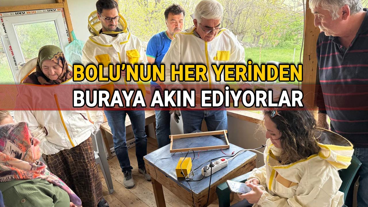 Bolu'nun Her Yerinden Buraya Akın Ediyorlar