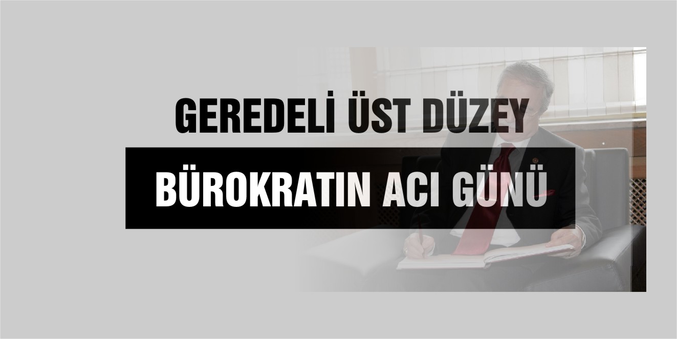 alptekin koy
