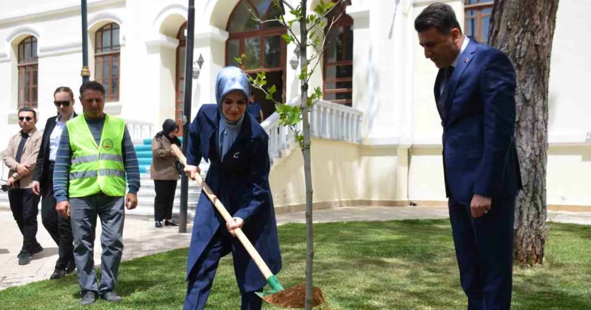 bakan goktas bilecikte fidan dikti lFOqI7HL.jpg