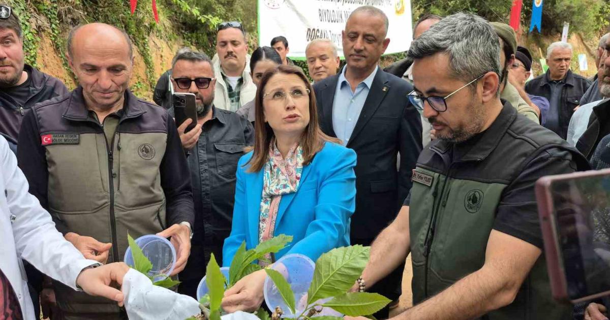 bartinda yararli bocek salimi suruyor YAL27RIJ.jpg