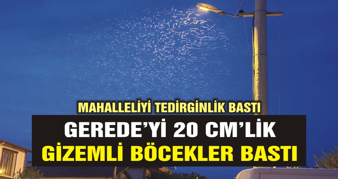 böcek