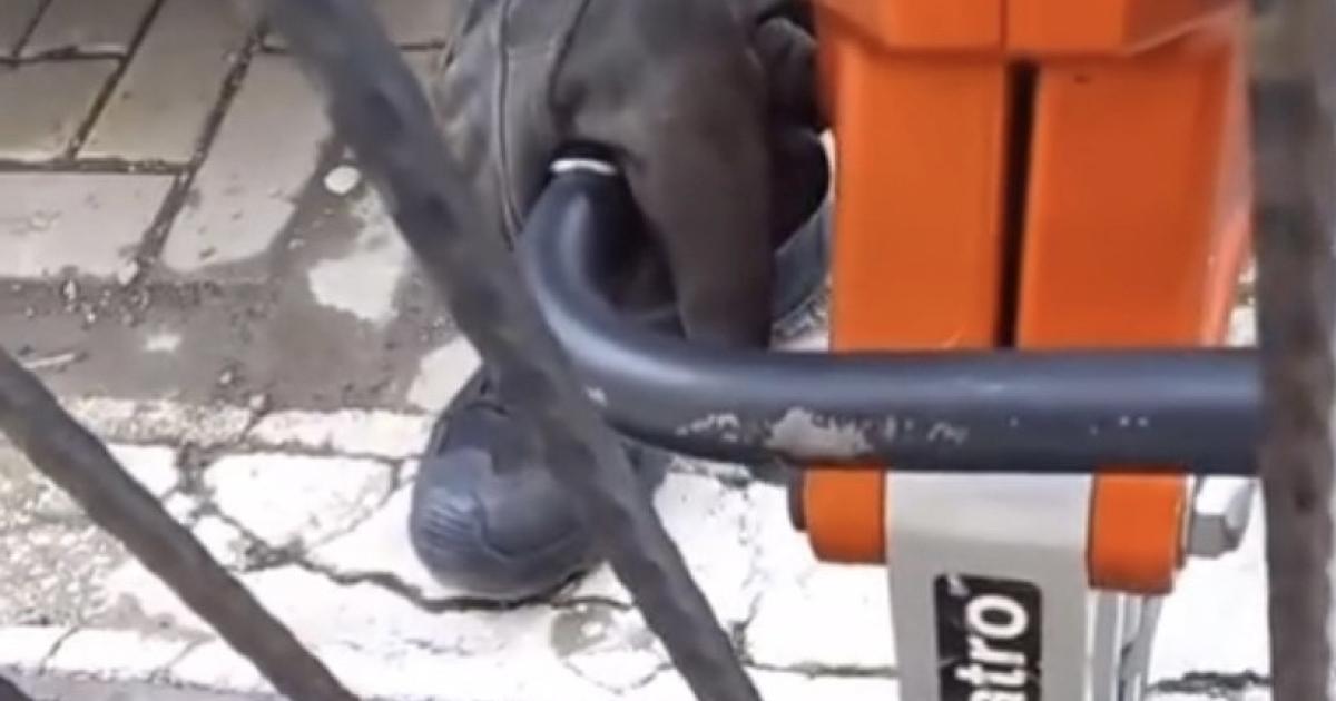 cankirida bir kedi mazgala sikisti VD41gJvv.jpg