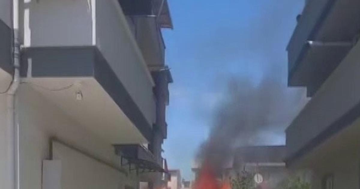 daricada komurluk alev aldi NQKmAThX.jpg