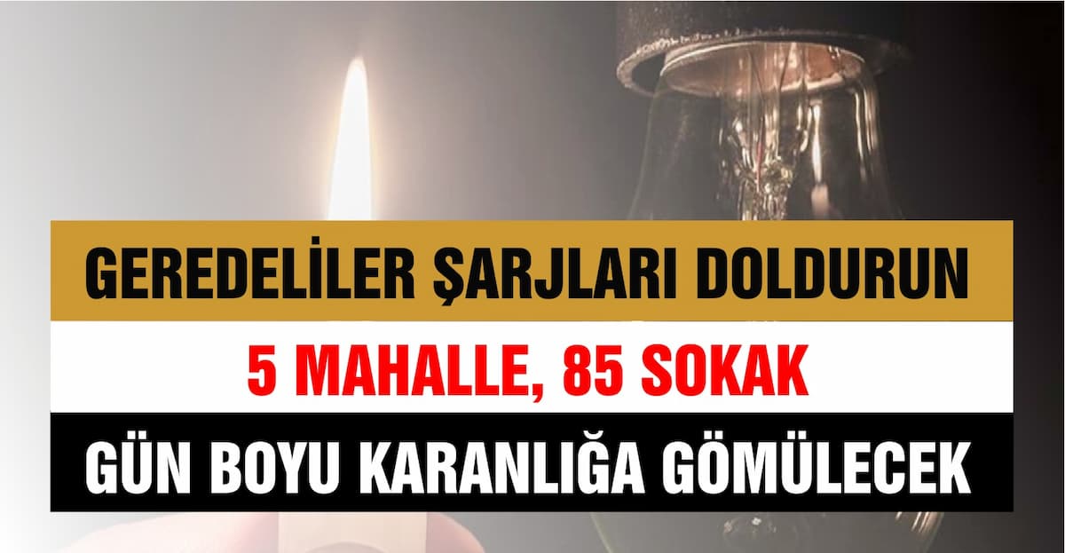 elektrik koy