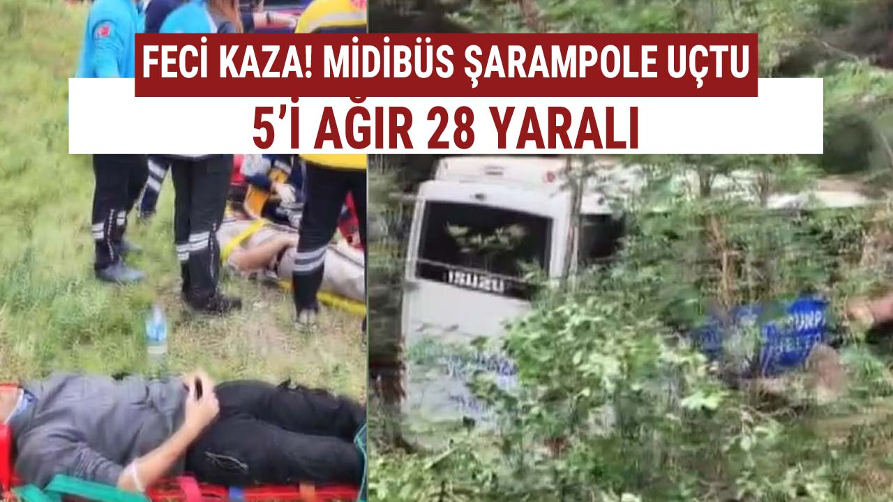 feci kaza