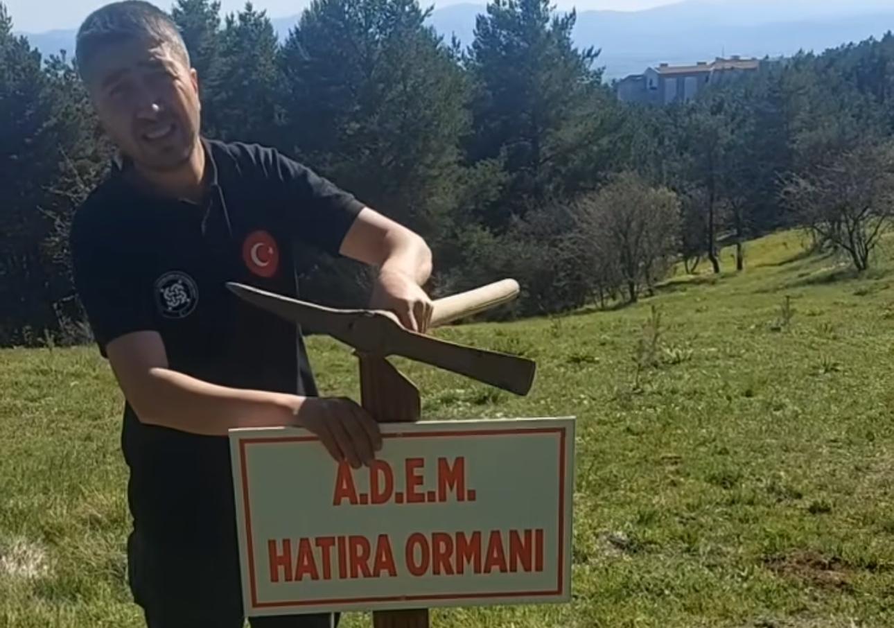 fidan dikim2