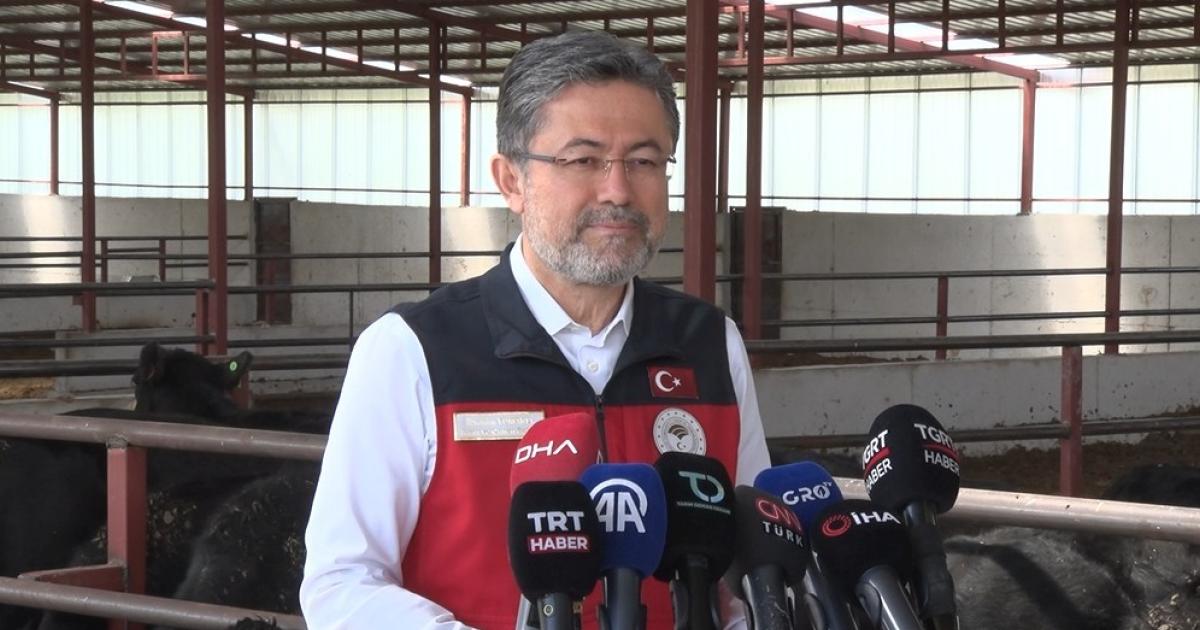 hayvancilara buyuk mujde bakan yumakli duyurdu 24tjURRu.jpg