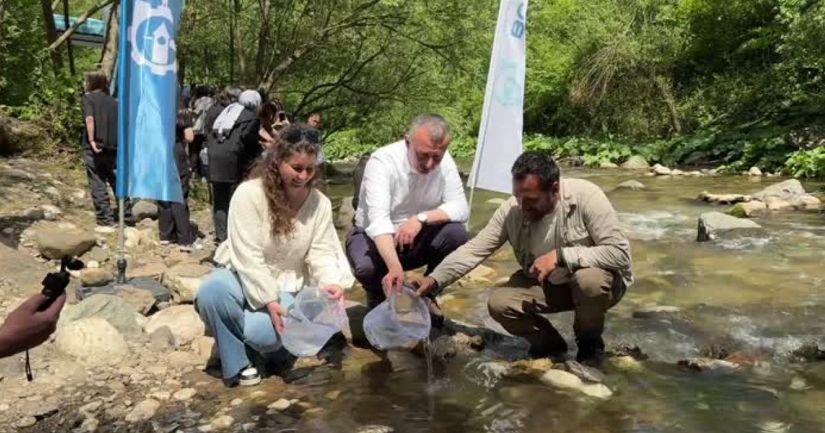 kirazdereye 8 bin kirmizi benekli alabalik salindi QtWwcVuB.jpg