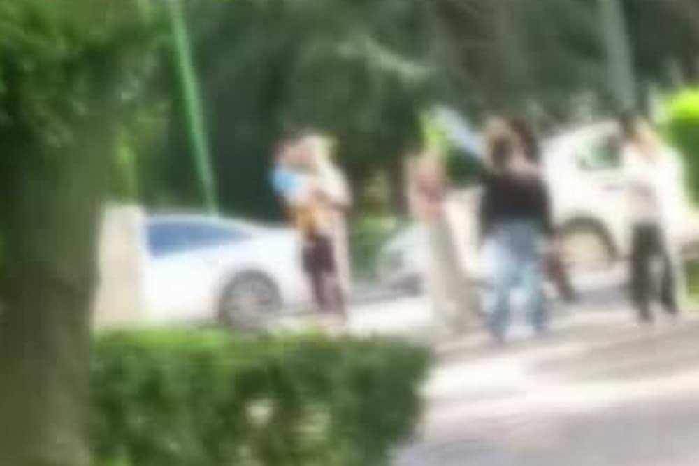kız kavga