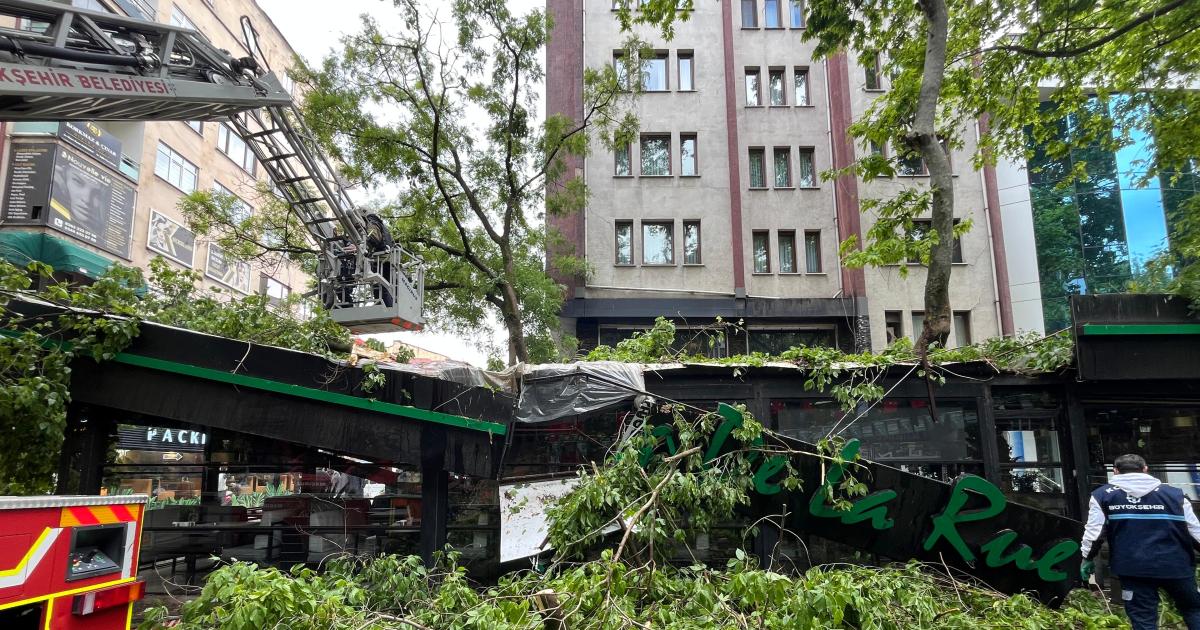 kocaelide siddetli ruzgar cinar agacini devirdi kafe catisi zarar gordu 4DIEeAgg.jpg
