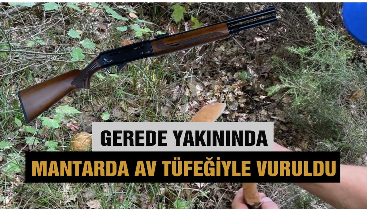 mantar koy