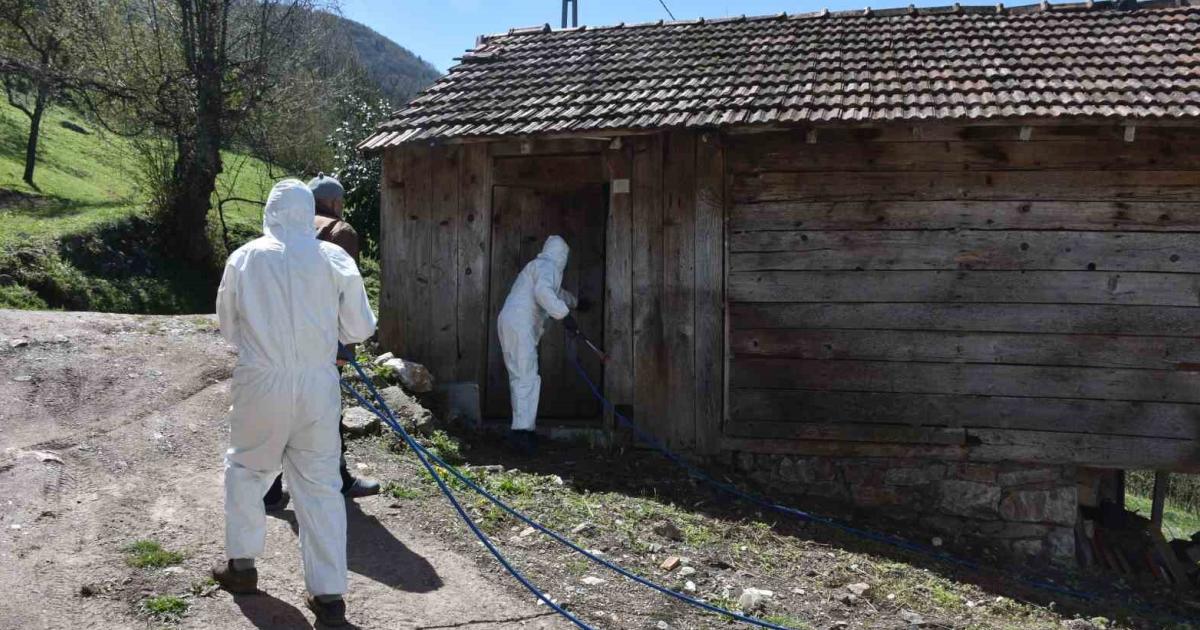 sakarya hendekte mucadele ediliyor aPKLmUgm.jpg